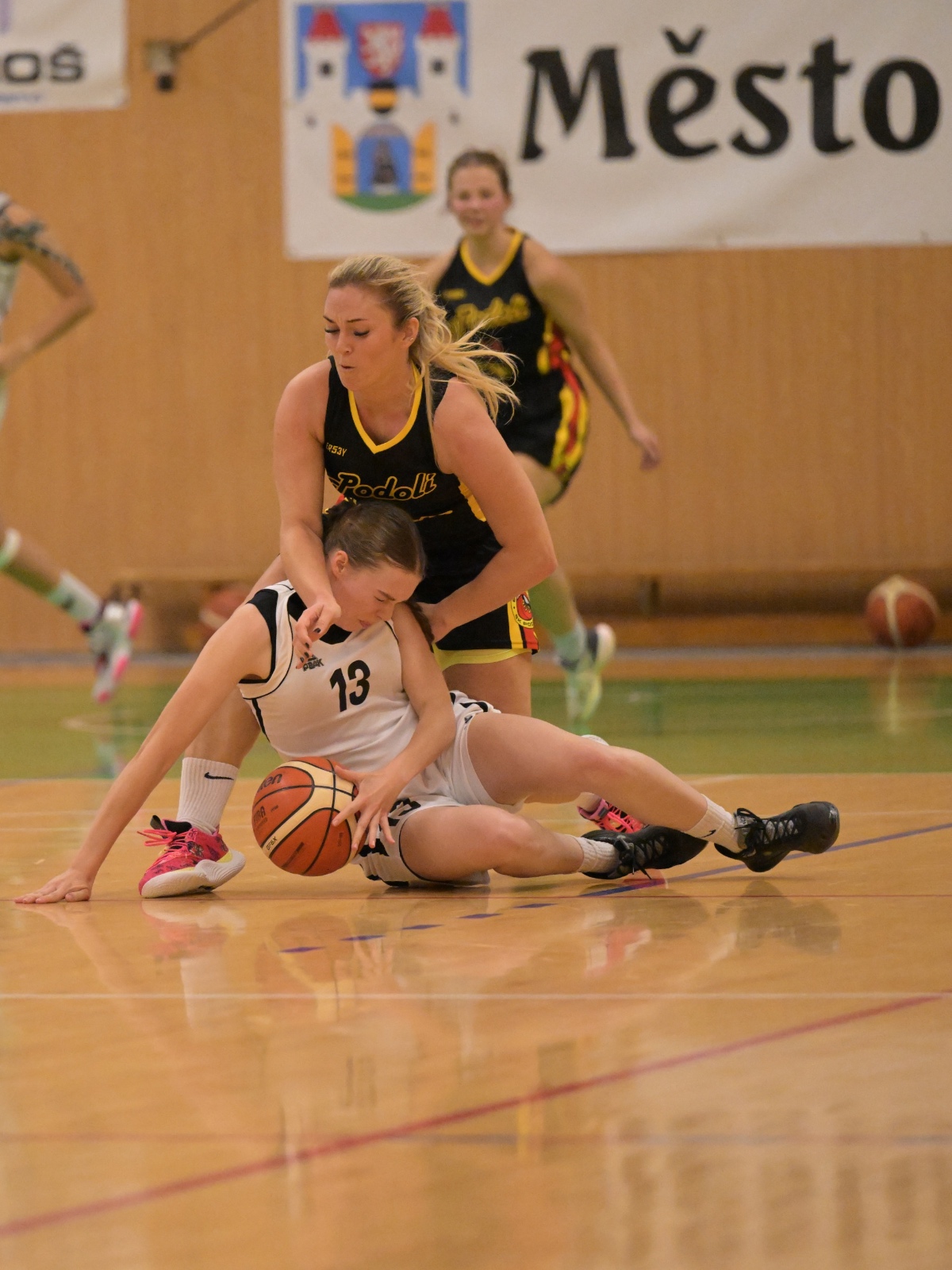 BK SOJKY vs. Renocar Podolí 